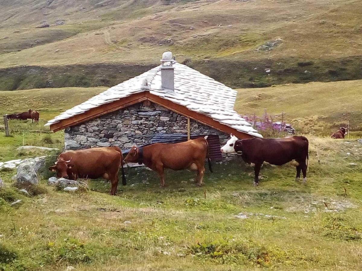 Les Balcons Proche Parc National Vanoise Appartements 2 Pieces 6 Pers Montagne Superieur Termignon Exterior photo