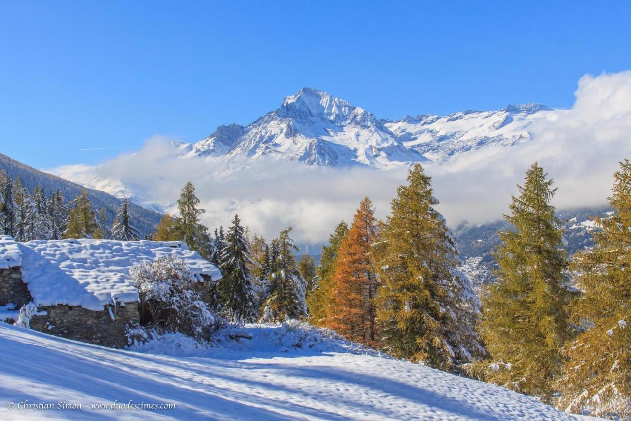 Les Balcons Proche Parc National Vanoise Appartements 2 Pieces 6 Pers Montagne Superieur Termignon Exterior photo